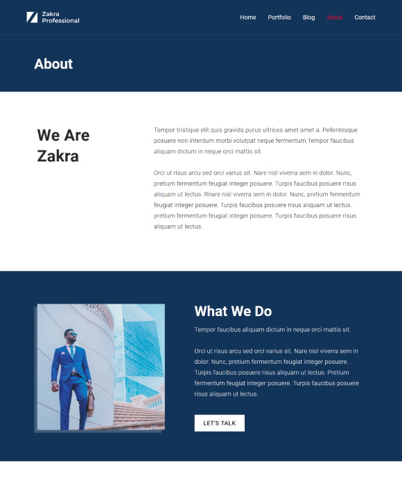 About – Zakra Professional