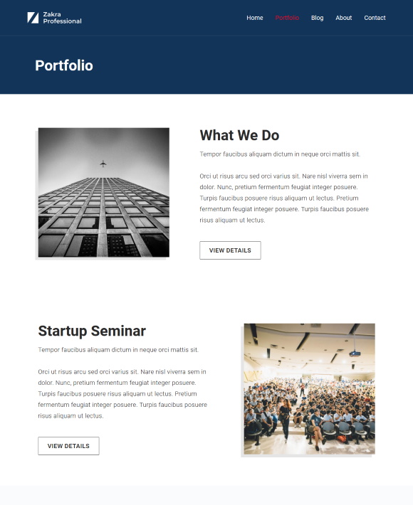 Portfolio – Zakra Professional
