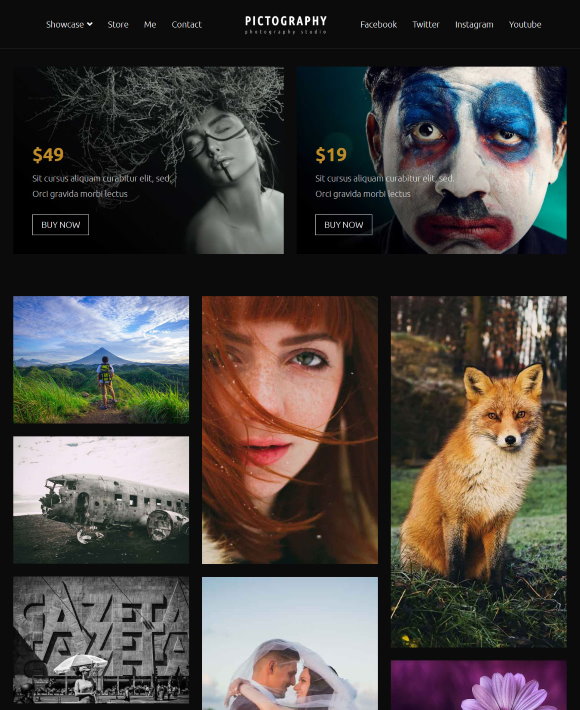 Zakra Pictography -One of the WordPress Elementor Templates